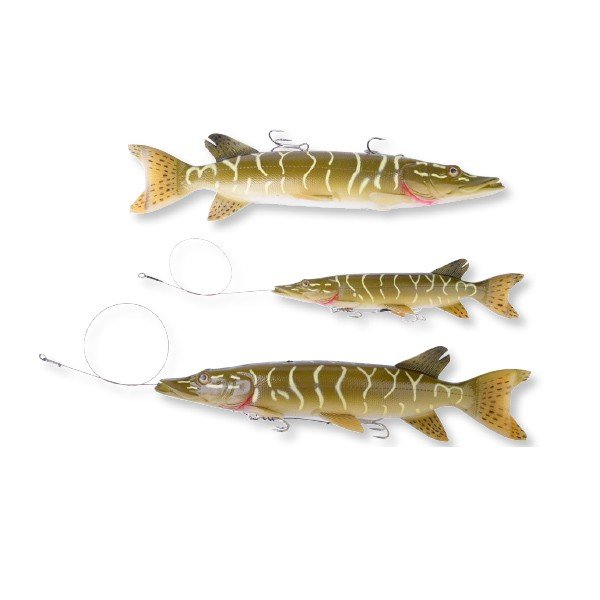 Ribolovačka oprema Fish-R