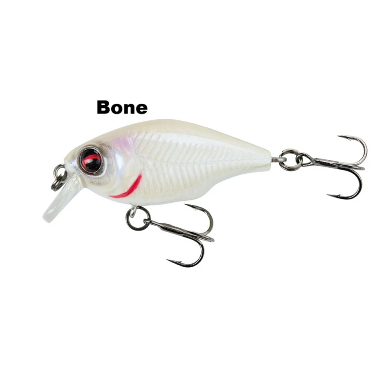 sg-bone