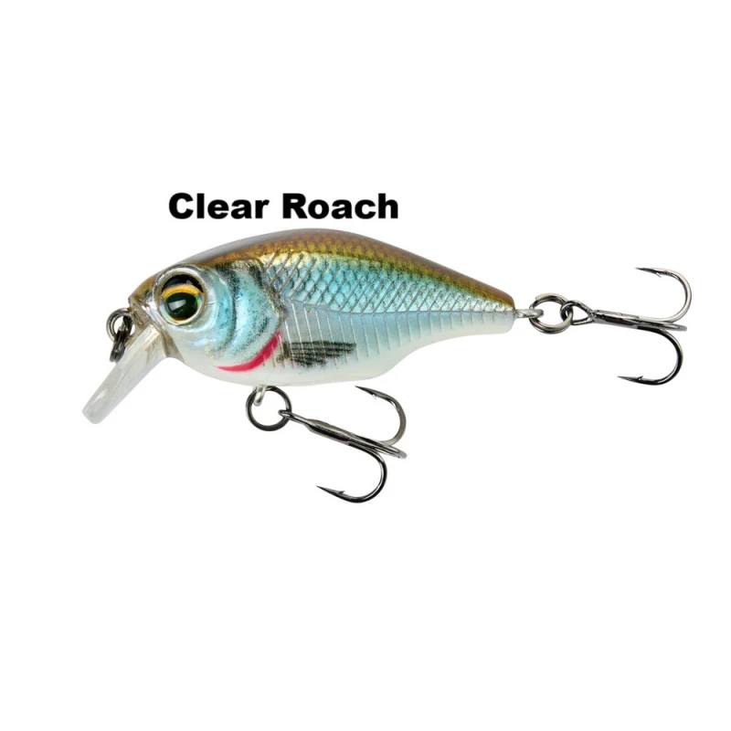 sg-clear-roach