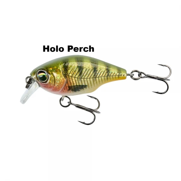 sg-holo-perch