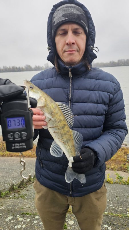 Ribolovačka oprema Fish-R