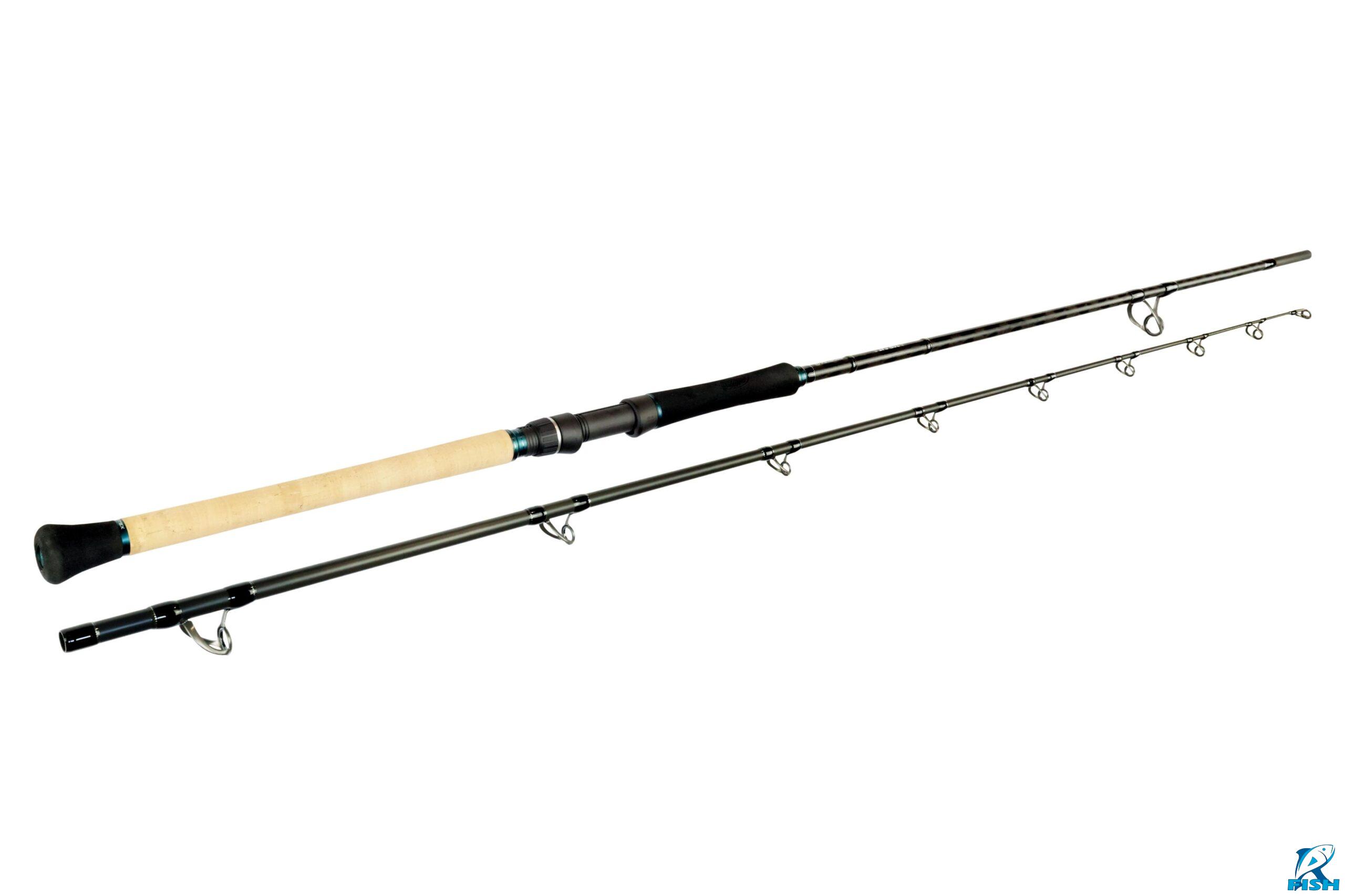 sportex top cat boje