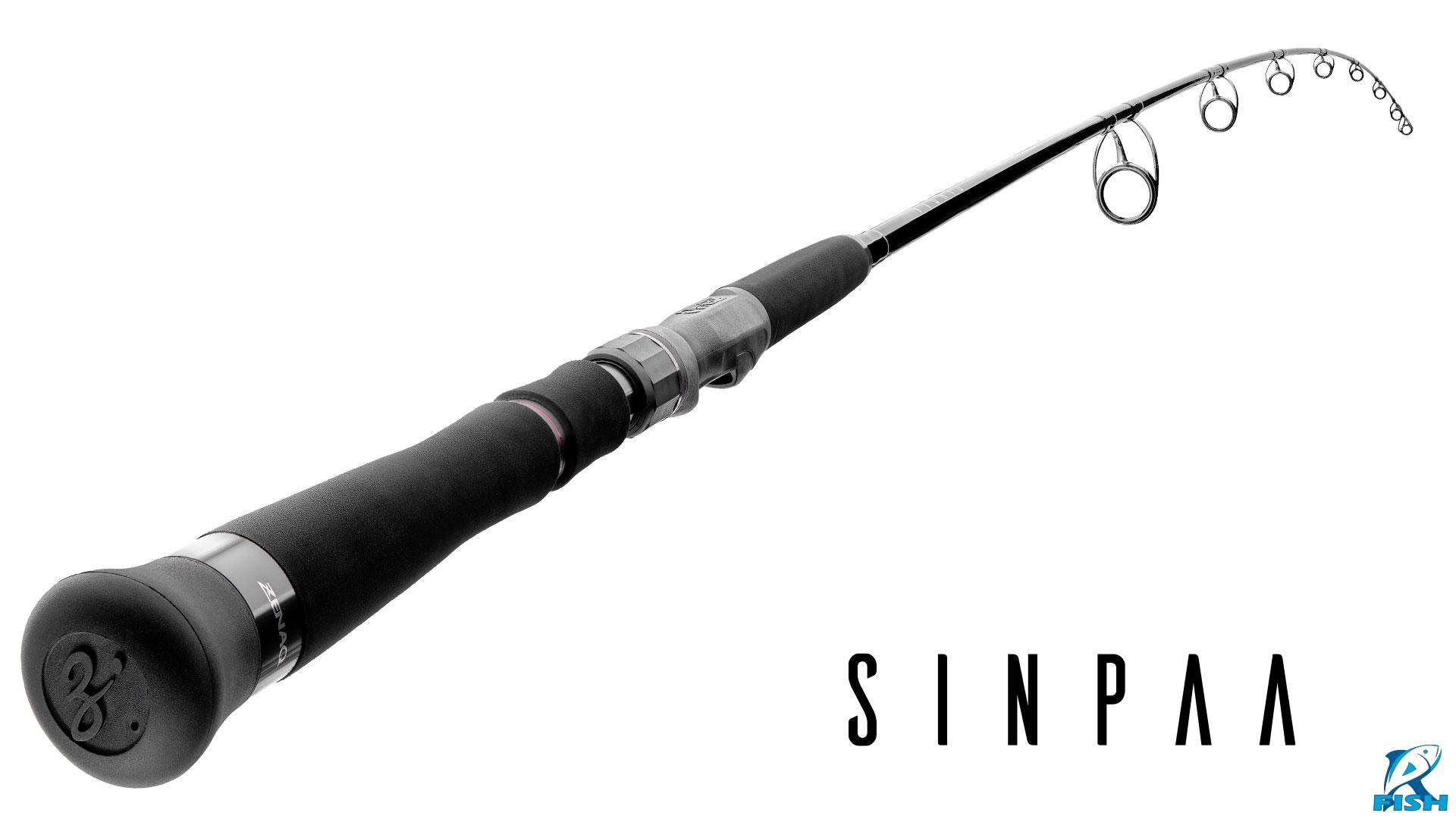 rod_main_2026-03_SINPAA (1)